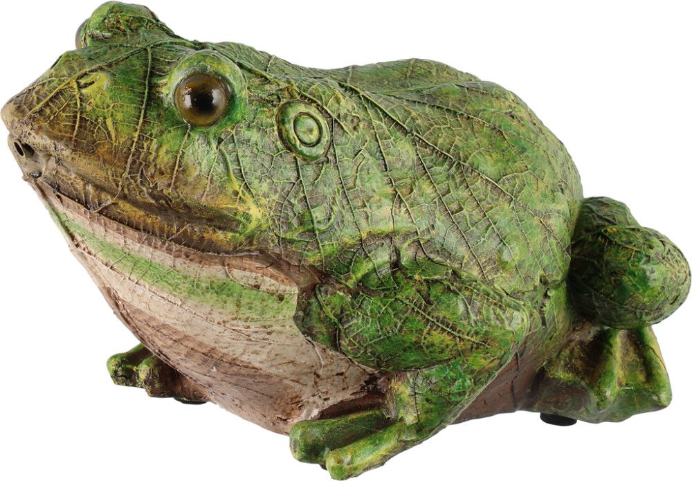 Puutarhapatsas sammakko kurnuttava