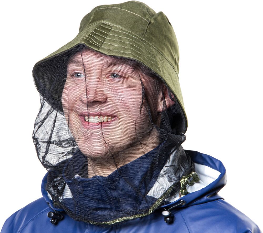 Hyttyspäähine Atom verkolla