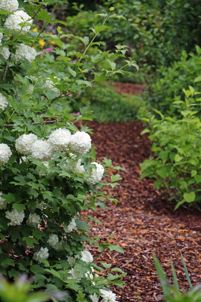 Puunkuorikate GreenCare 50 l