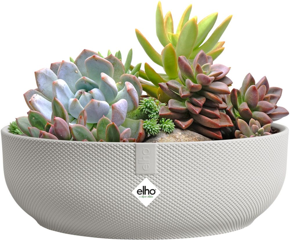 Kulhoruukku Elho Jazz 28 cm valkoinen