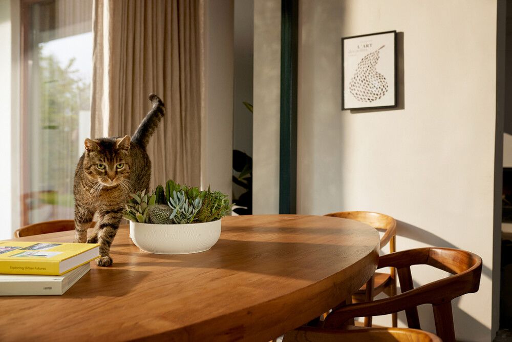 Kulhoruukku Elho Jazz 28 cm valkoinen