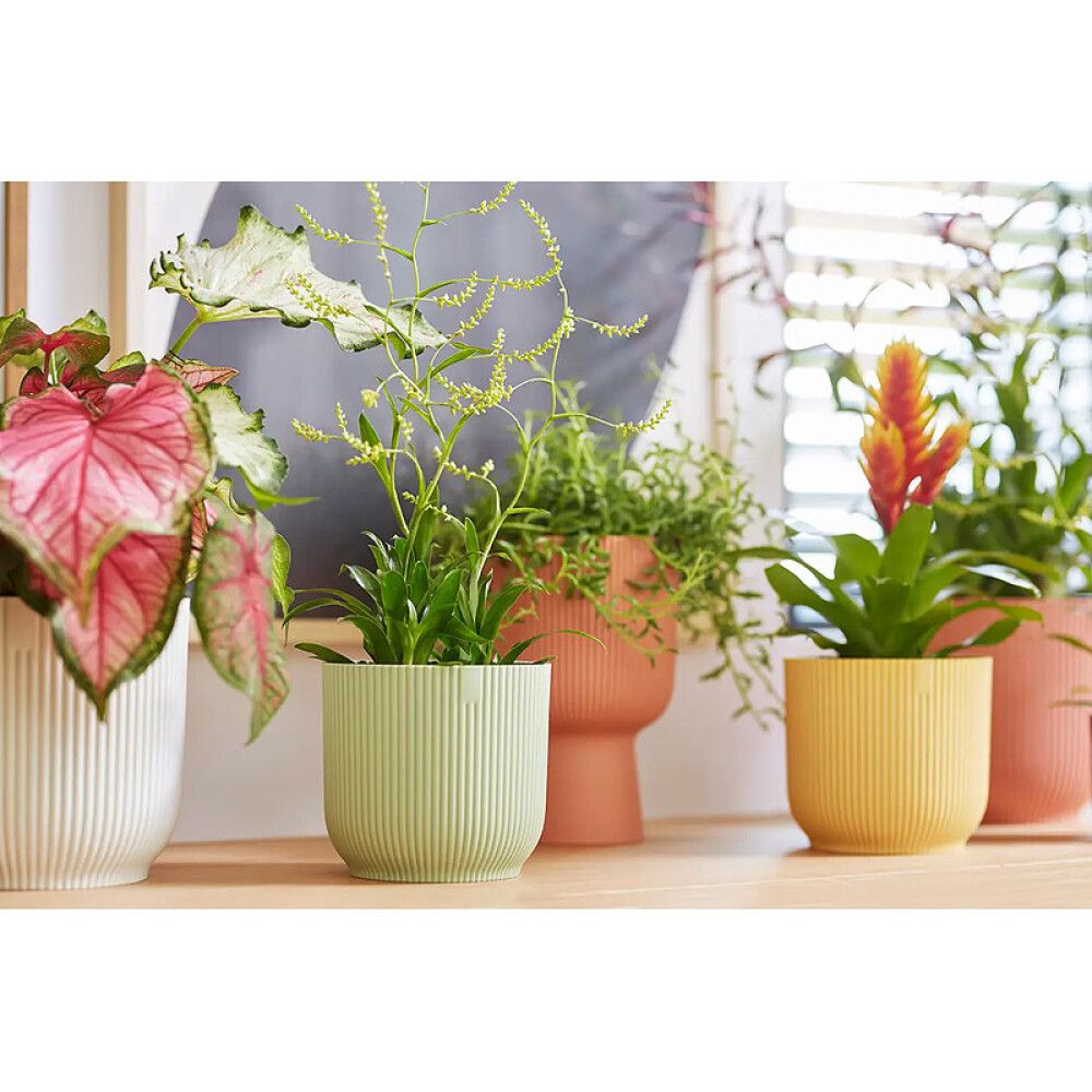 Suojaruukku Elho Vibes Fold 9 cm vaaleanvihreä