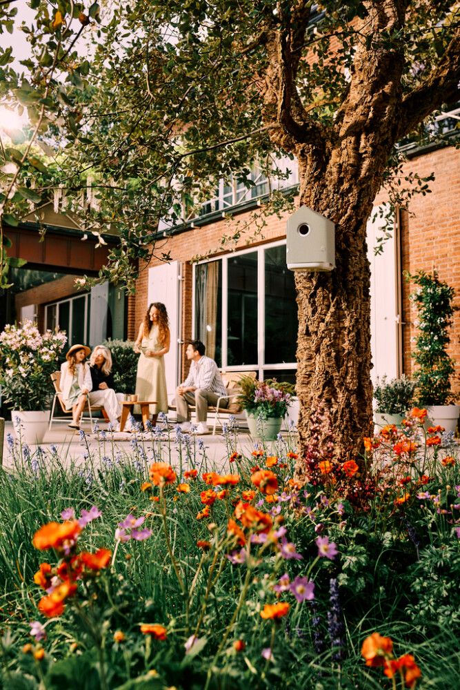 Linnunpönttö Elho Cosy beige