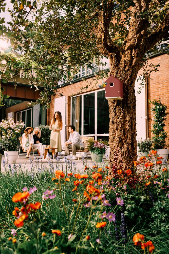 Linnunpönttö Elho Cosy punainen