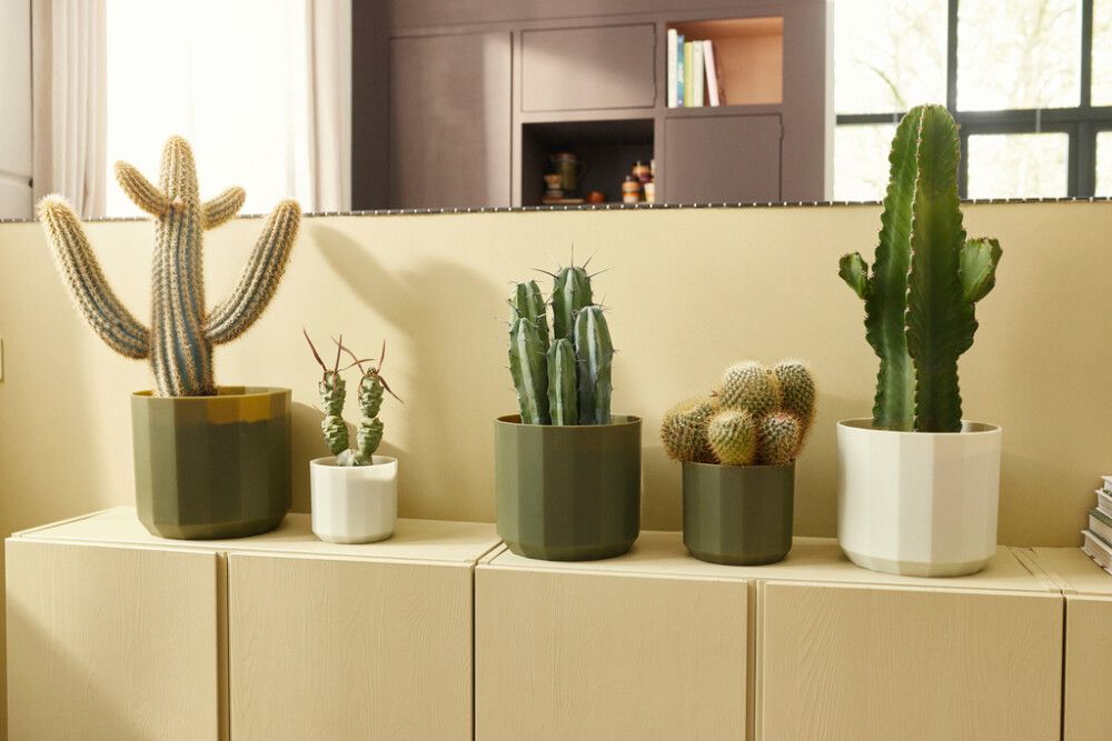 Suojaruukku Elho Facet 19 cm tummanvihreä