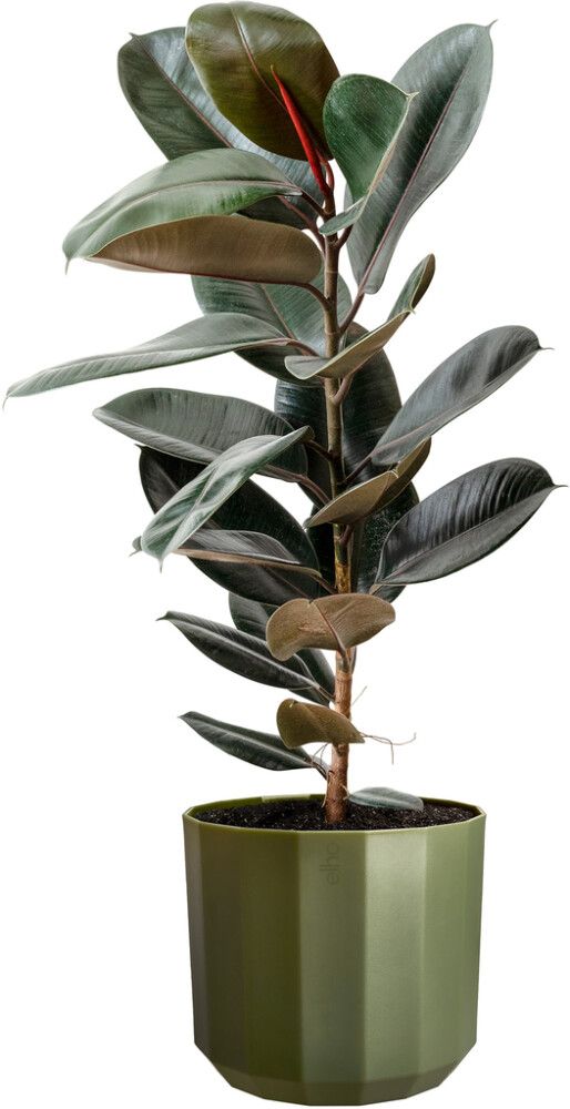 Suojaruukku Elho Facet 19 cm tummanvihreä