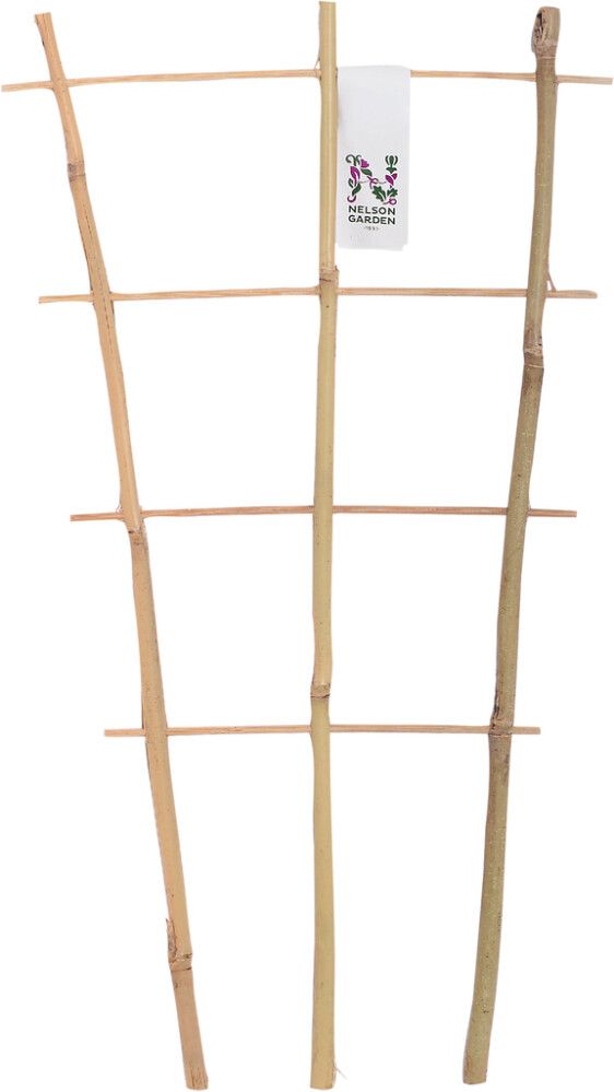 Ruukkusäleikkö bambu 45 cm