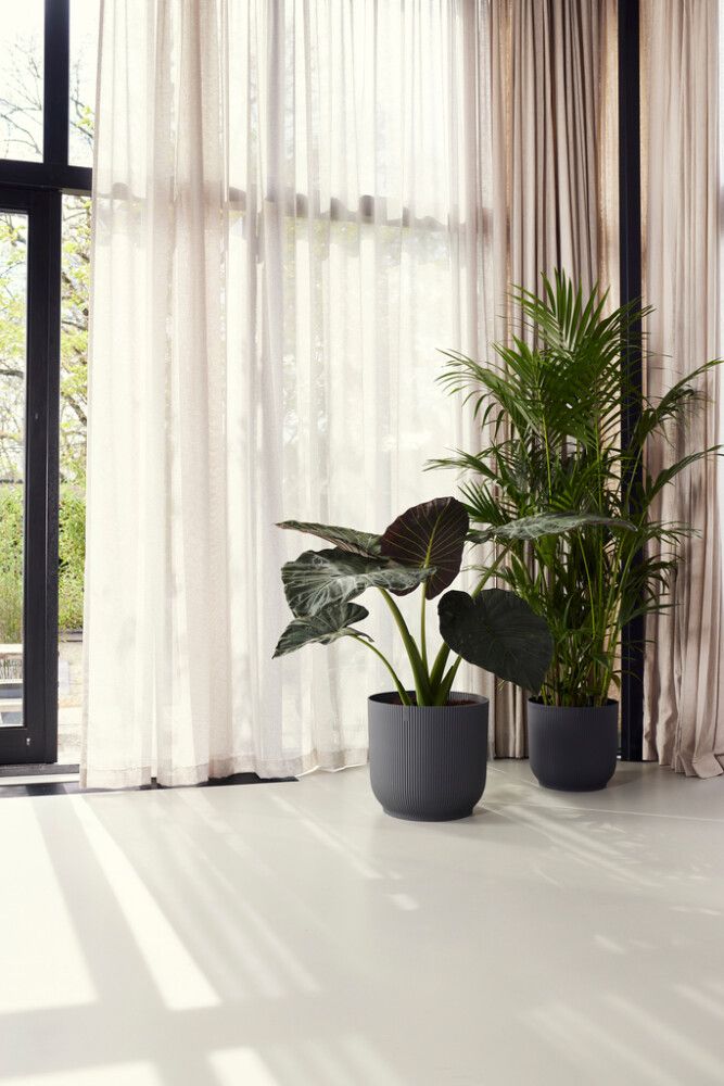 Suojaruukku Elho Vibes Fold 47 cm antrasiitti