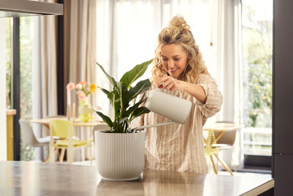 Kastelukannu Elho Vibes 1,7 l valkoinen