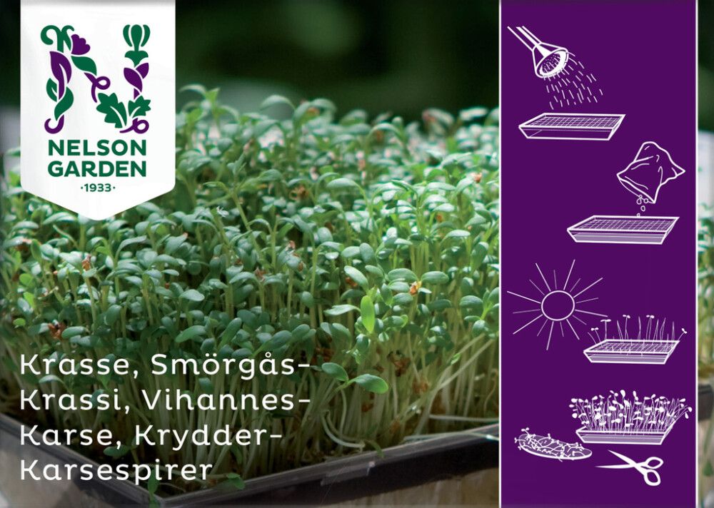 Vihanneskrassi Nelson Garden