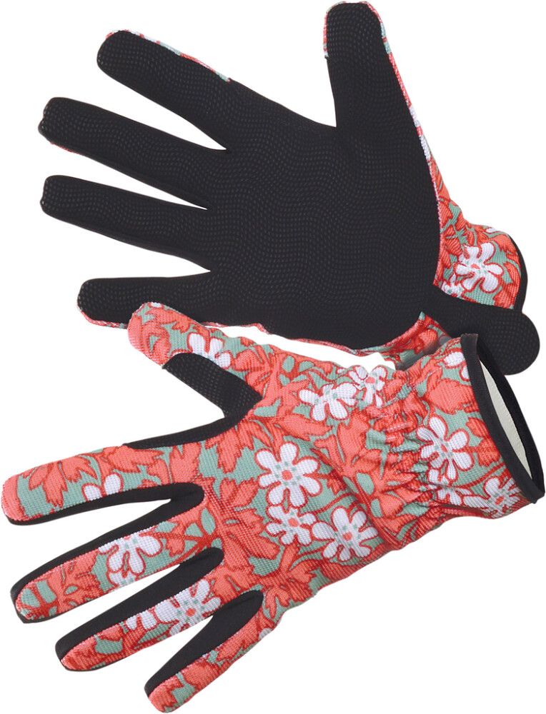 Puutarhakäsine Anemone