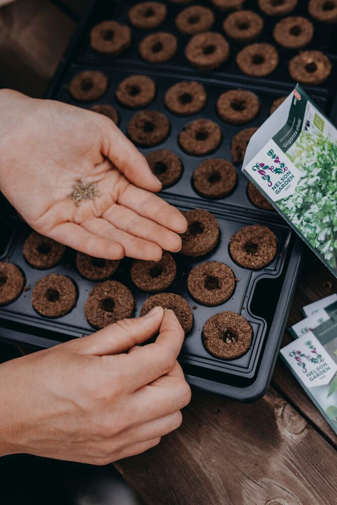 Kylvökapseli 42 kpl