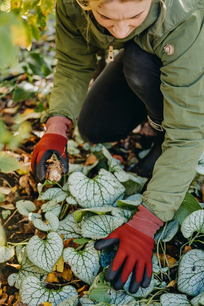 Puutarhakäsine Cosy viininpunainen 8