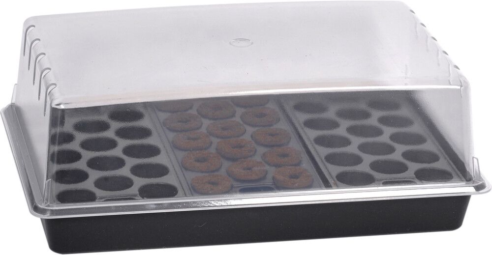 Taimikasvatuslaatikko 38 x 24 cm