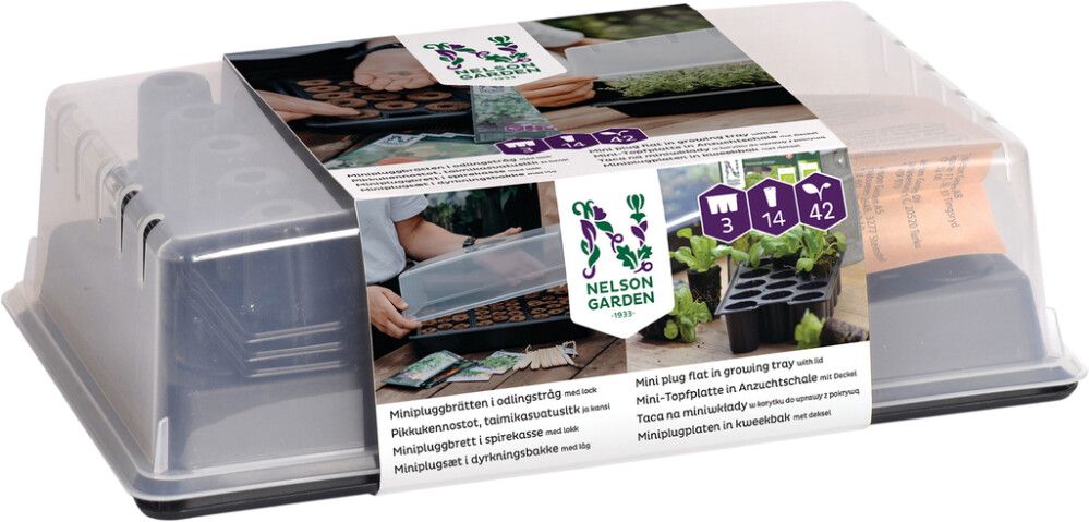 Taimikasvatuslaatikko 38 x 24 cm