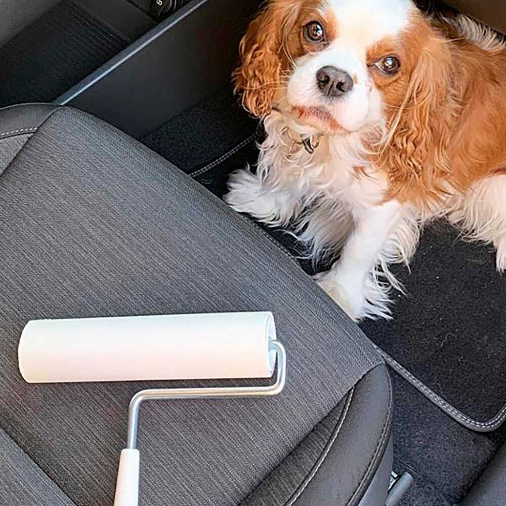 Mattoteippiharja Sini 10 m