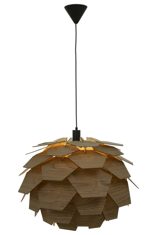 Riippuvalaisin Aneta Carpatica