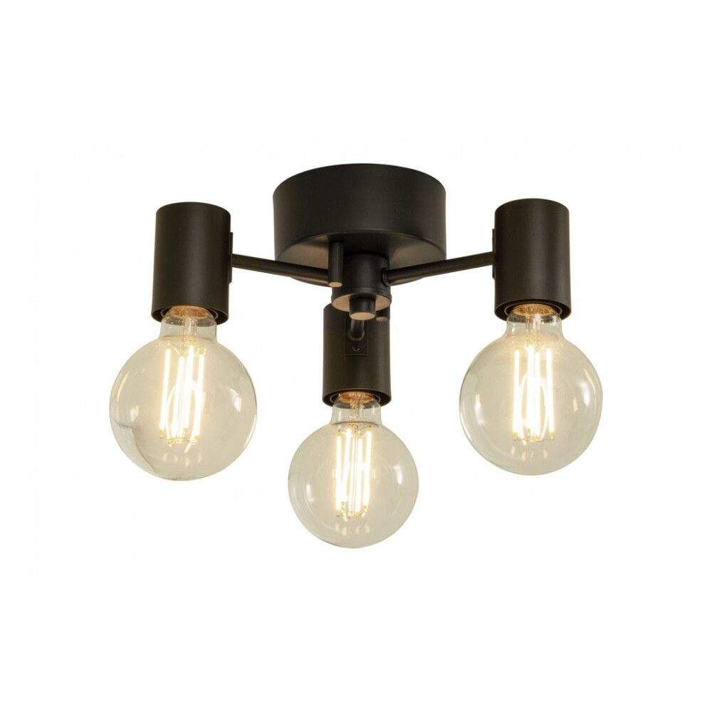 Kattovalaisin Aneta Strict