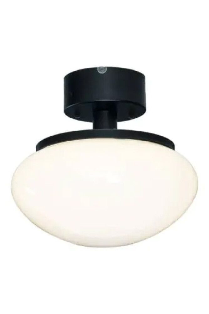 Kattovalaisin Aneta New August musta