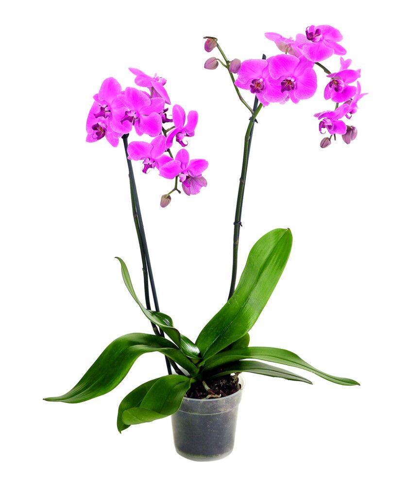 Pikkukuva 3