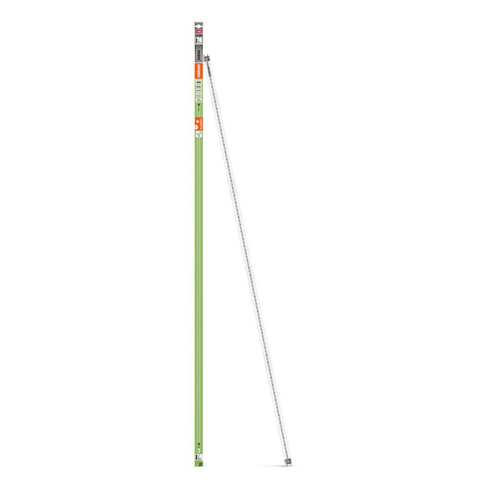 LED-kasvivaloputki Osram Fluora T8 G13 18,3 W 2500 K
