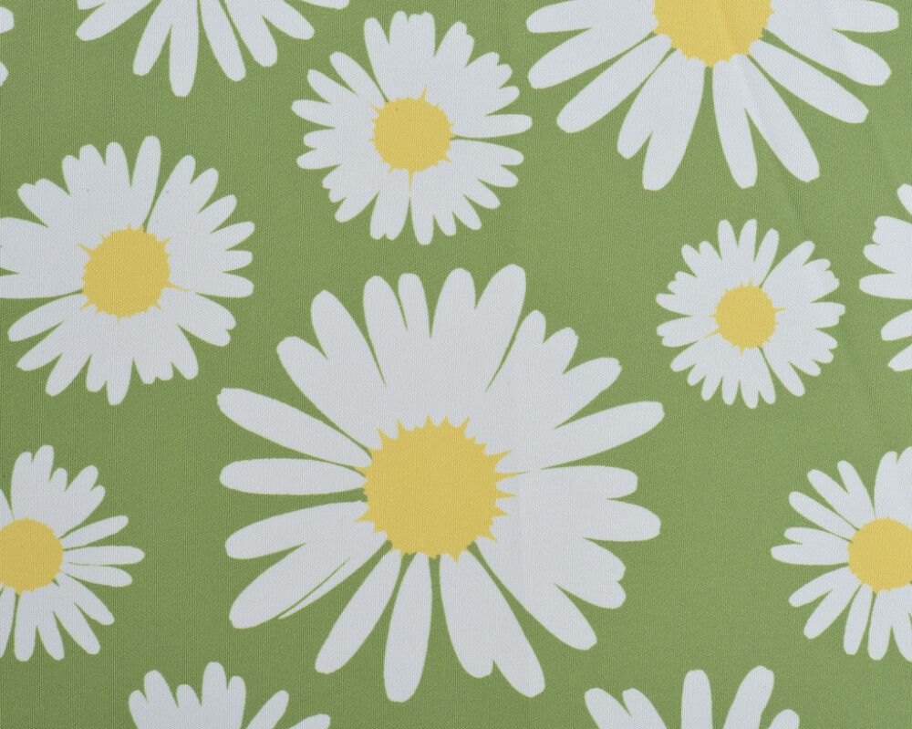 Aurinkovarjo Päivänkakkara 2 m