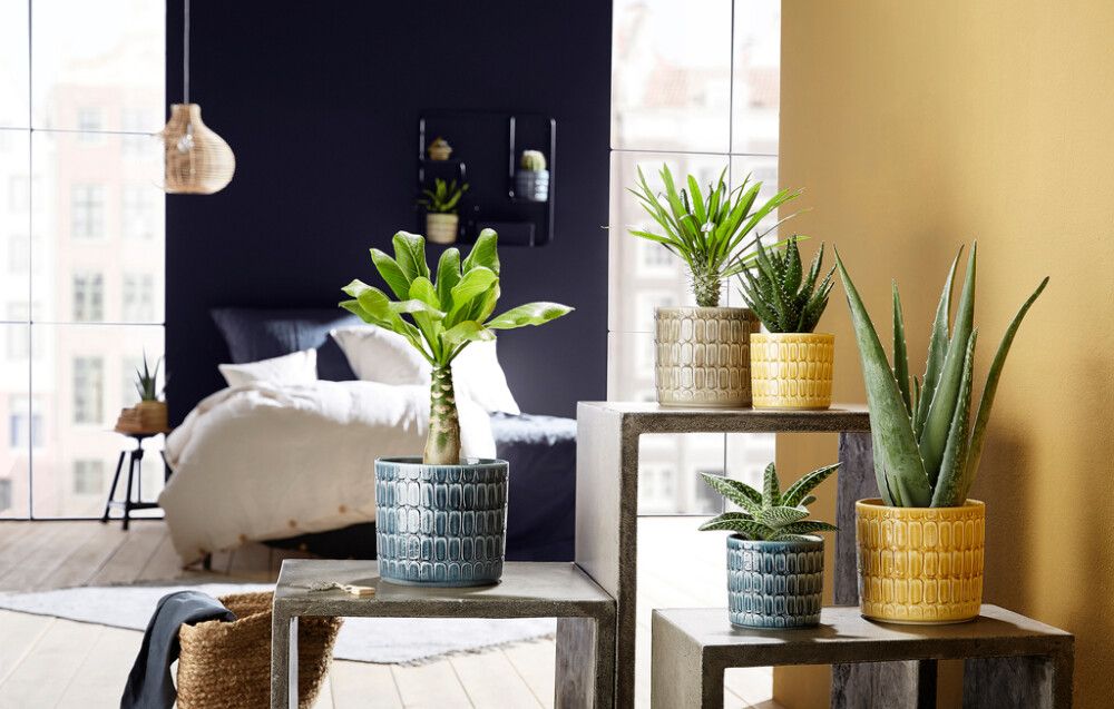 Suojaruukku Luna beige 14 cm