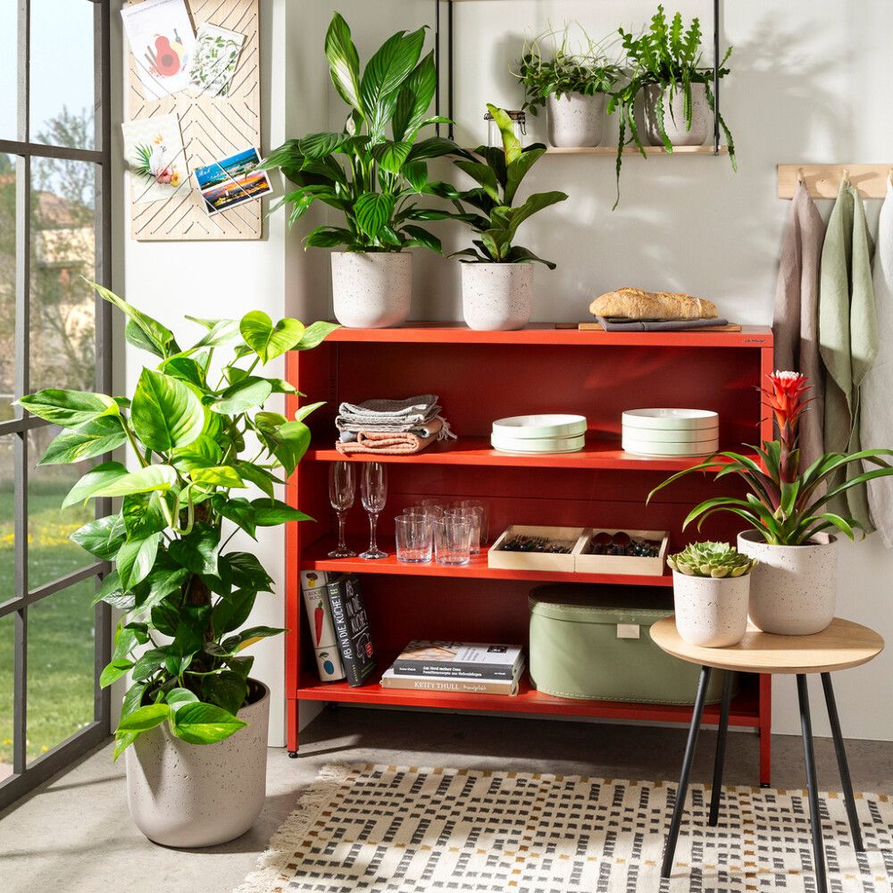 Suojaruukku Basalto savenharmaa 23 cm