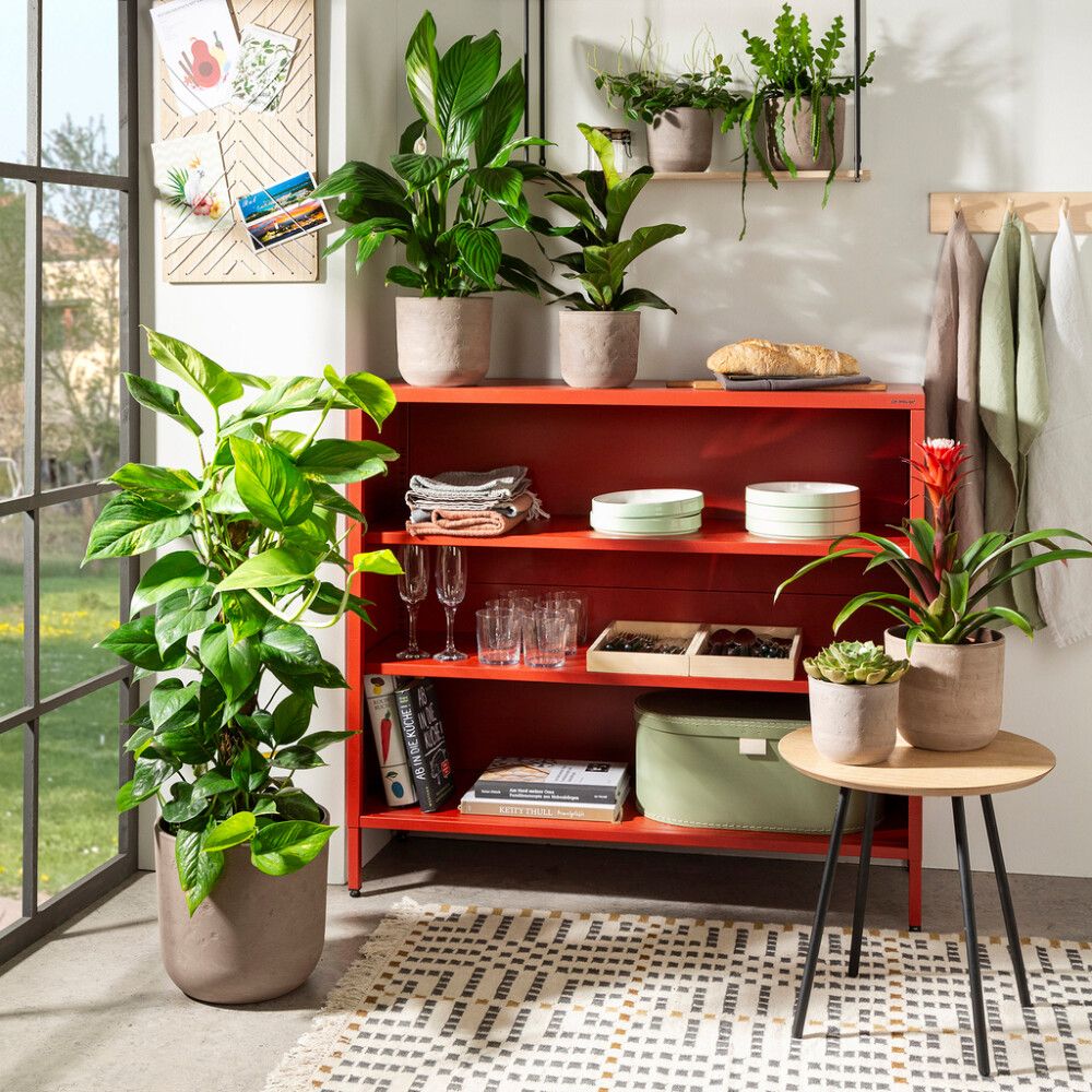 Suojaruukku Travertino ruskea 20 cm