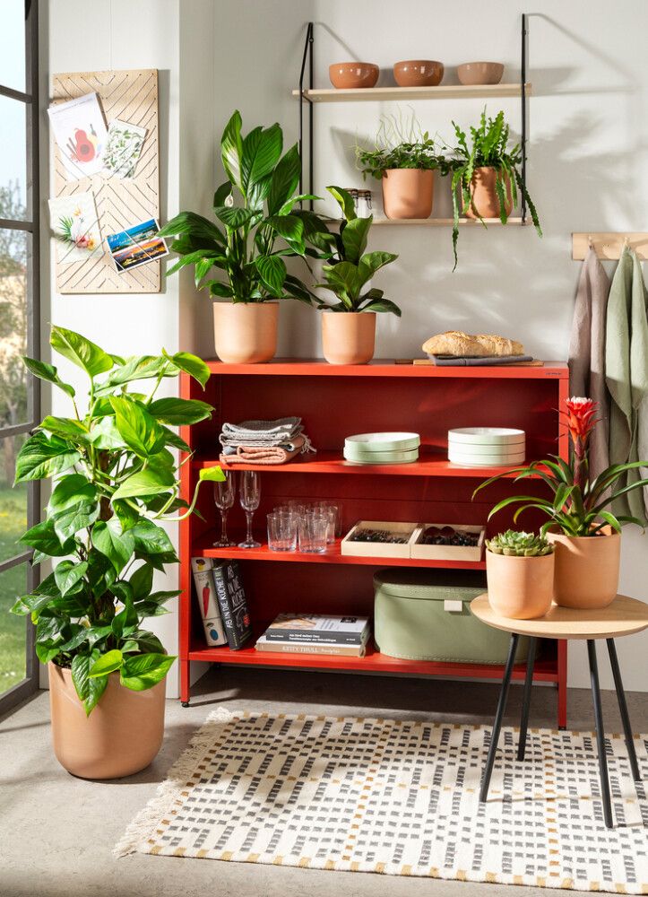 Suojaruukku Rosso terra 28 cm