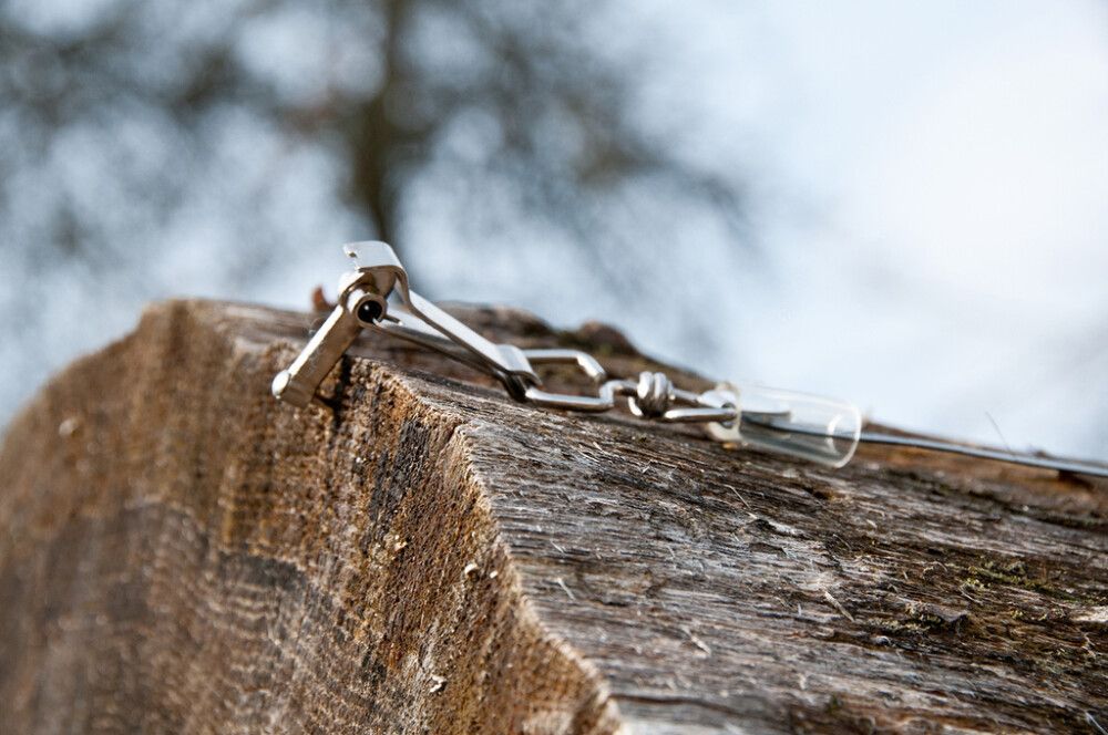 Metsurinmitta Oregon 20 m