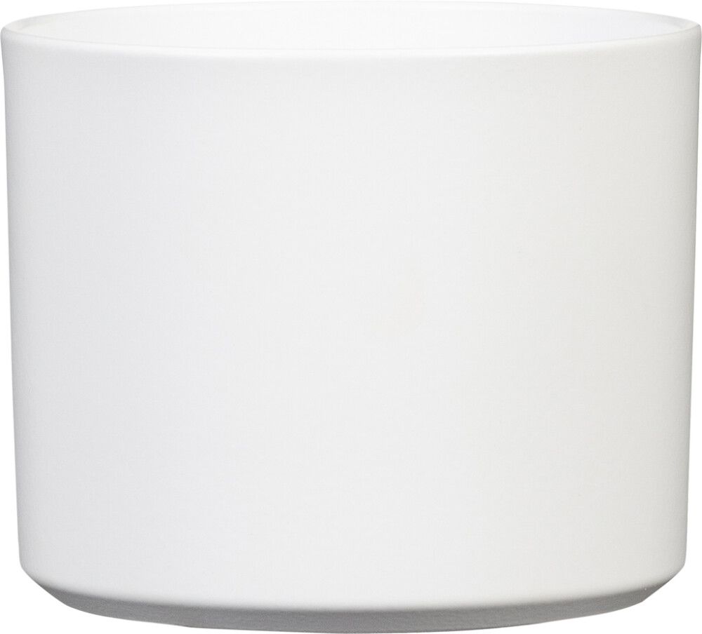 Suojaruukku Monaco valkoinen 16 cm