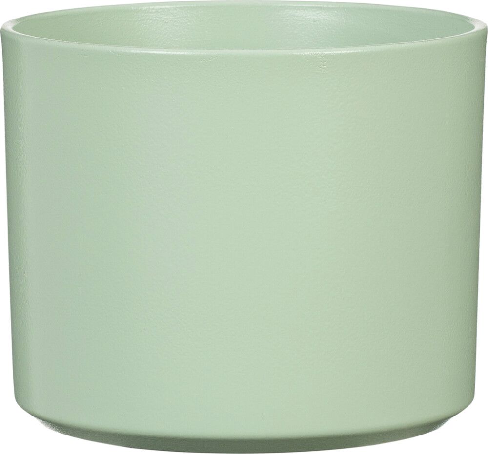 Suojaruukku Monaco lehmuksen vihreä 14 cm