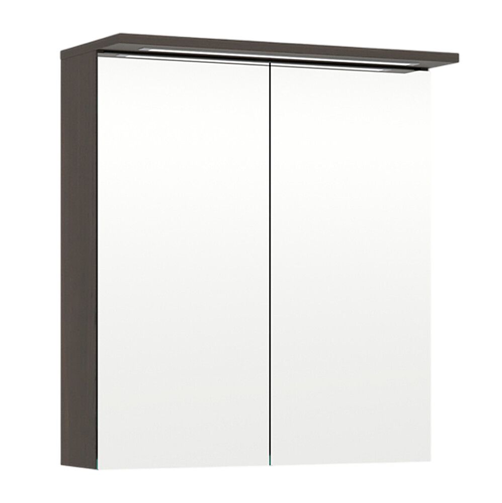 Peilikaappi Temal Highlight 60 cm, 2 ovea Saarni