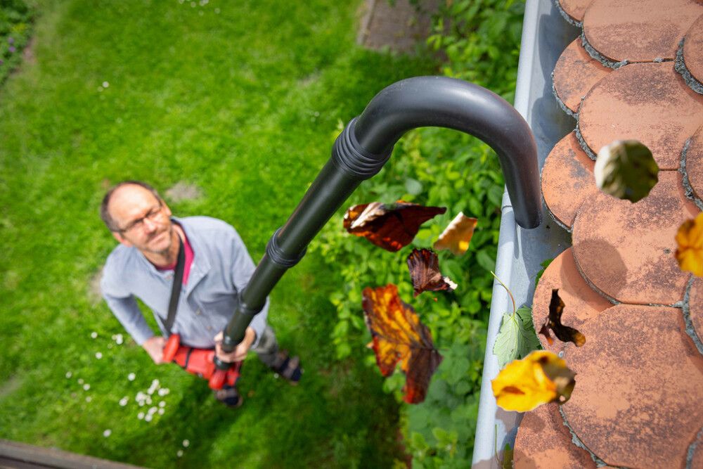 Lehtipuhallin-imuri Hurricane HLS-I-320 3in1