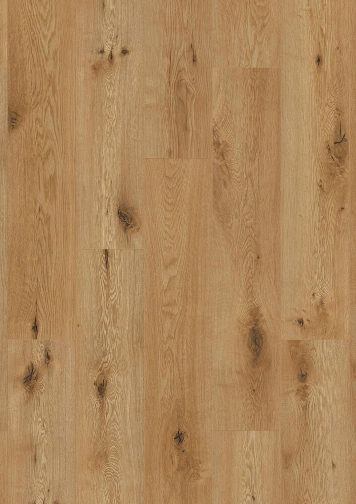 Mallipala Logoclic Riverside Edition