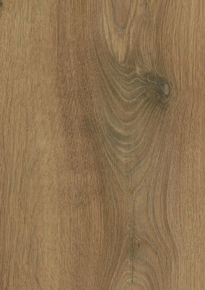 Laminaatti Logoclic Edition Sundance Oak 8 x 245 x 1288 mm