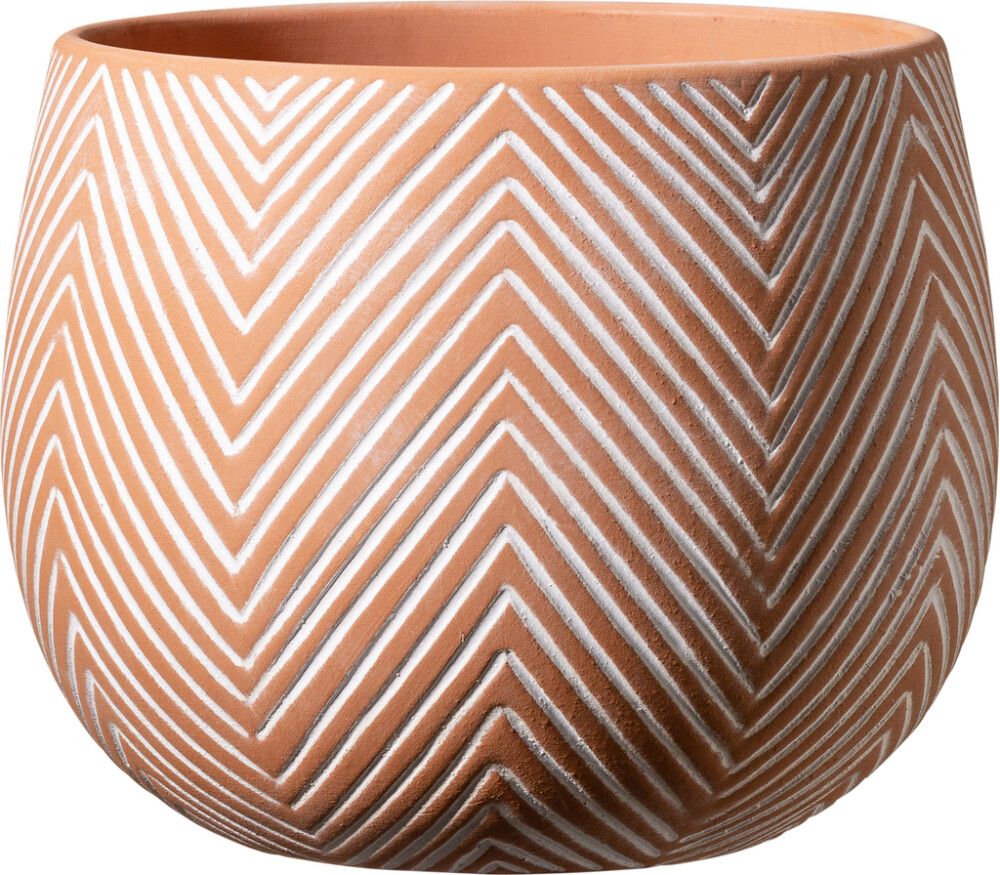 Suojaruukku Ibiza 11 cm