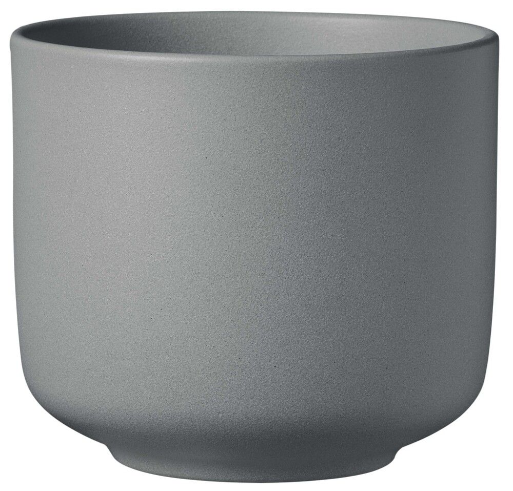 Suojaruukku Soendgen Bari Blossom mauve, eri kokoja