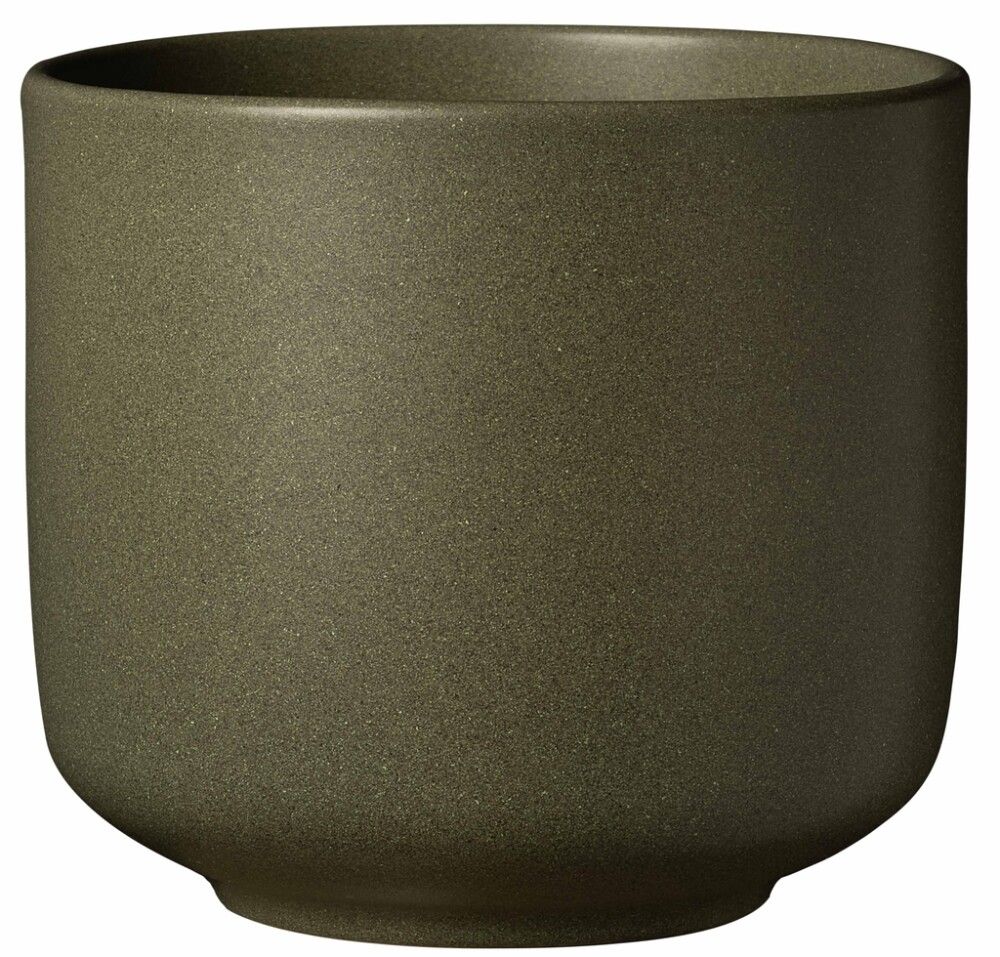 Suojaruukku Soendgen Bari Blossom eukalyptus, eri kokoja