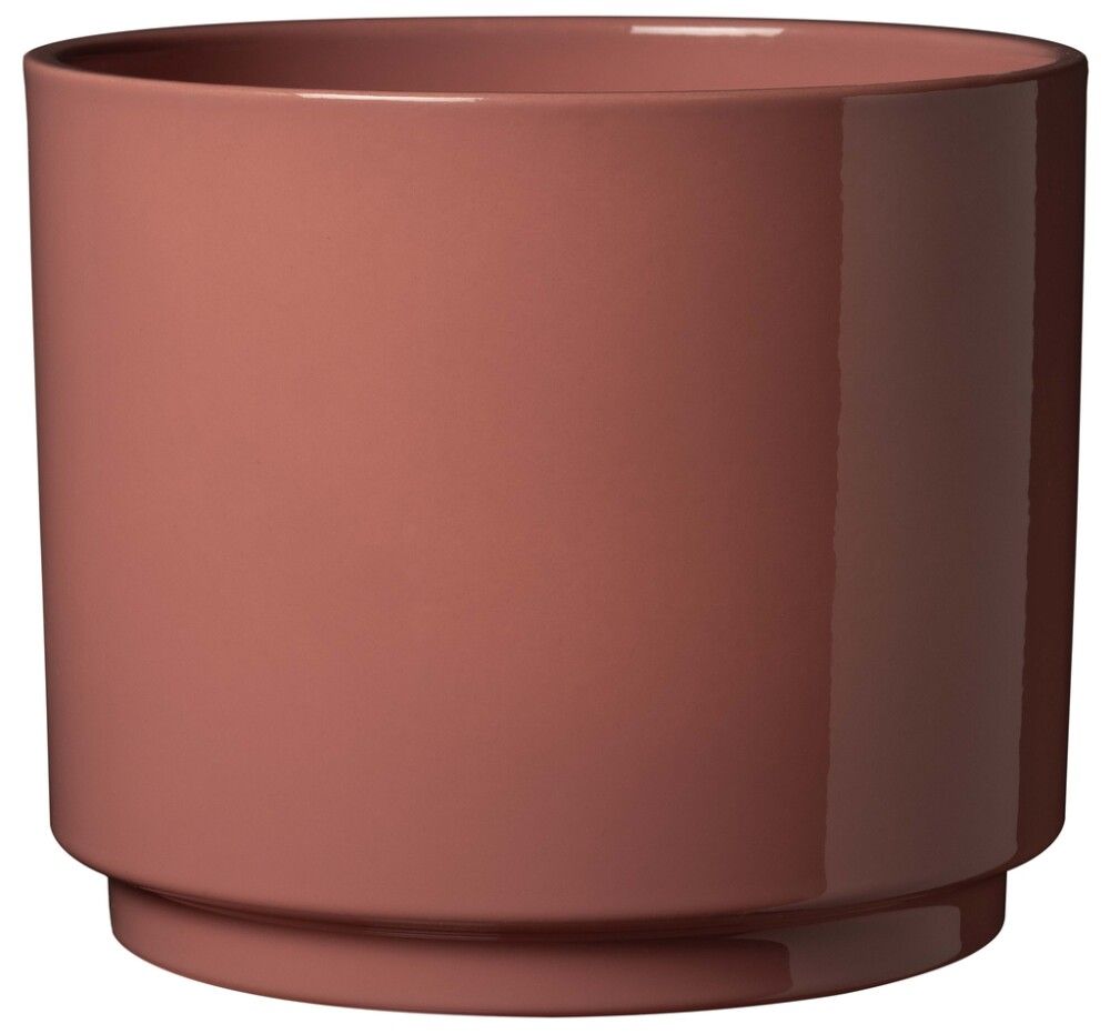 Suojaruukku Soendgen Oslo Seventies litsi, eri kokoja