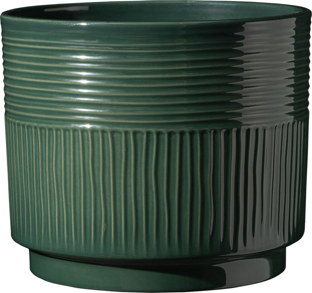 Suojaruukku Soendgen Nara Sabi tummanvihreä 16 cm