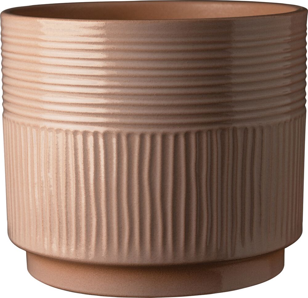 Suojaruukku Soendgen Nara Terra beige 19 cm