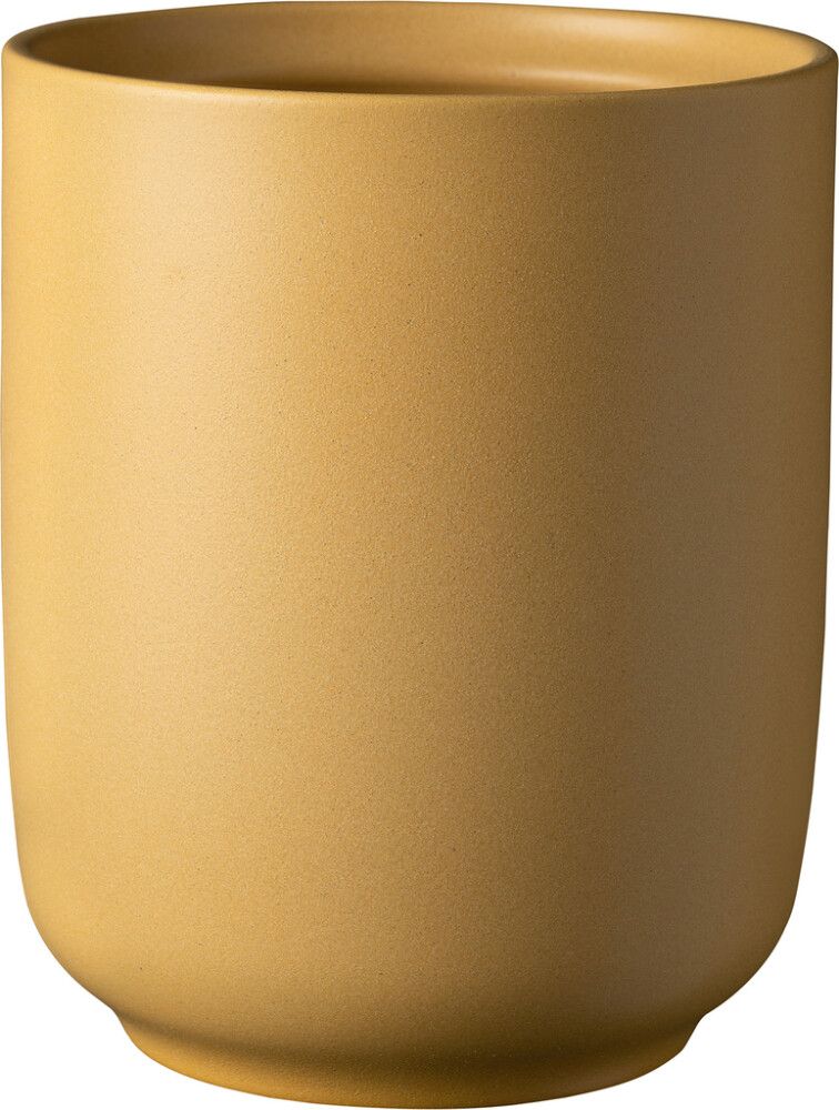 Orkidearuukku Soendgen Bari Blossom keltainen 15 cm