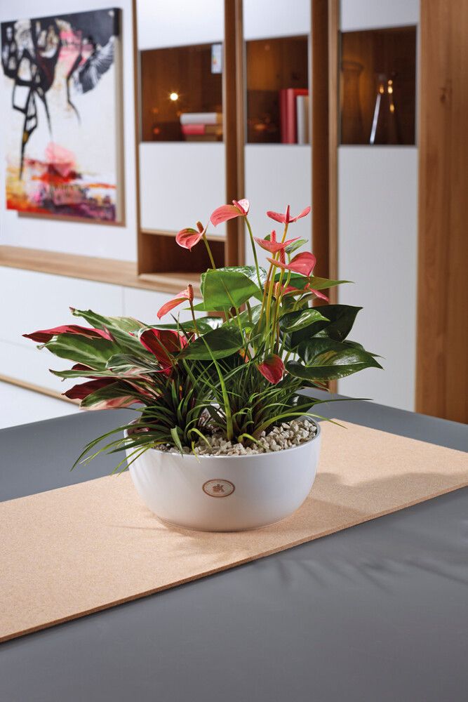 Kulho Soendgen Basel valkoinen 23 cm