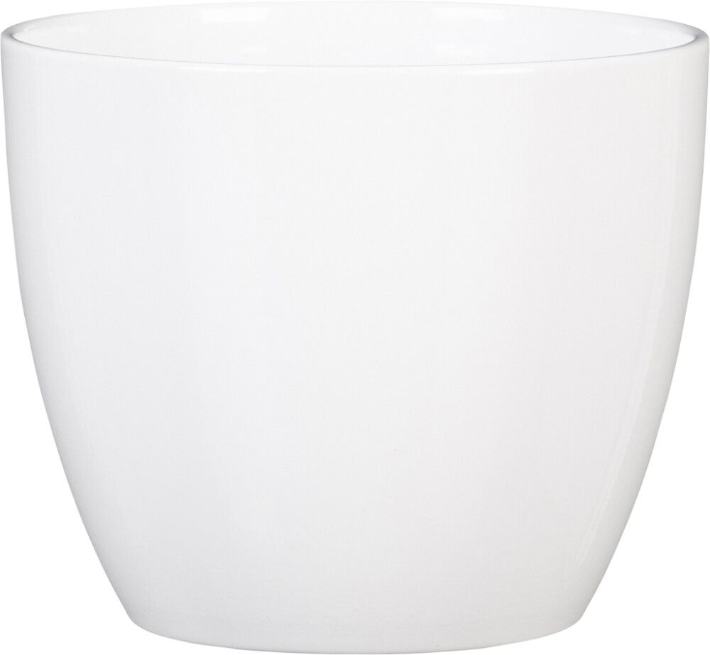 Suojaruukku Soendgen Basel valkoinen 41 cm