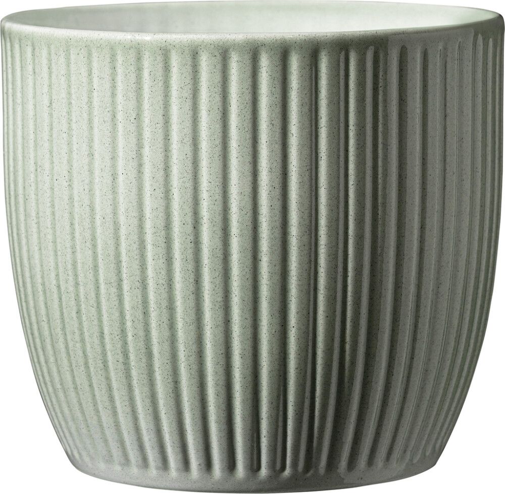 Suojaruukku Soendgen Belice vihreä 14 cm