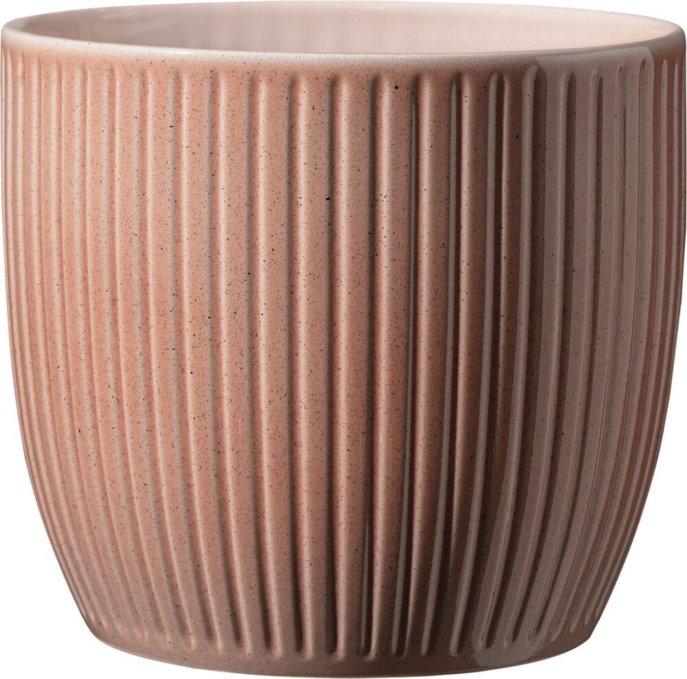 Suojaruukku Soendgen Belice persikka 19 cm