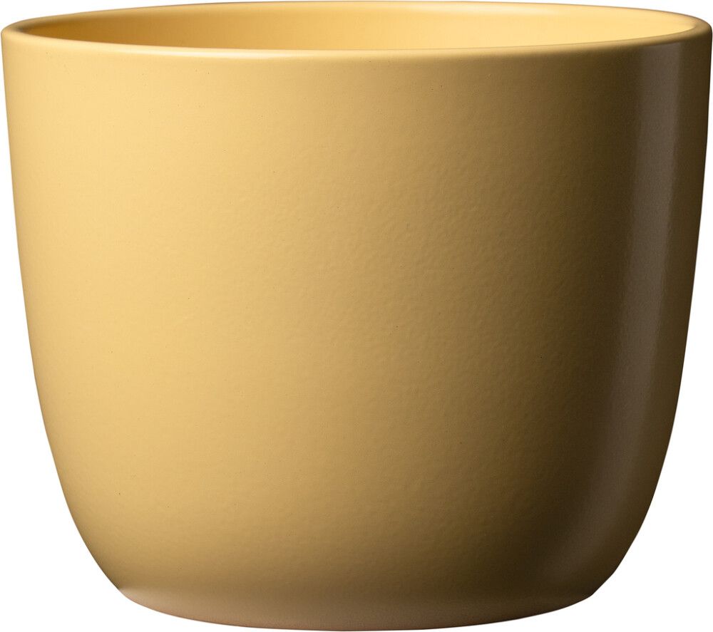 Suojaruukku Sevilla 11 cm keltainen