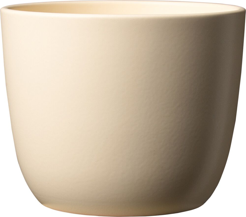 Suojaruukku Sevilla 11 cm kerma